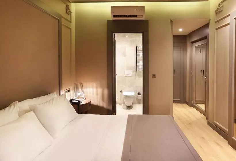 Fotos del hotel Taksim Premium:  24