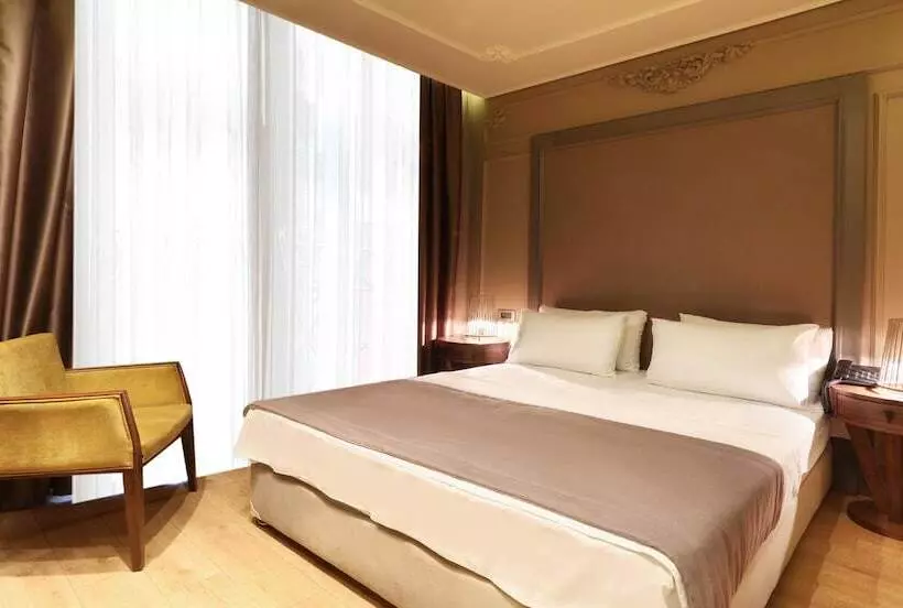 Fotos del hotel Taksim Premium:  30