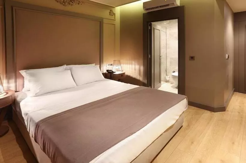 Fotos del hotel Taksim Premium:  36