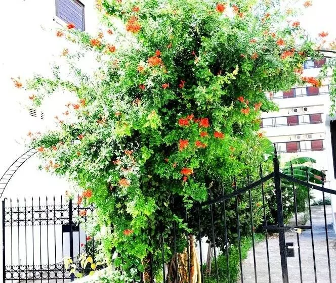 Fotos del hotel Aegeon:  15