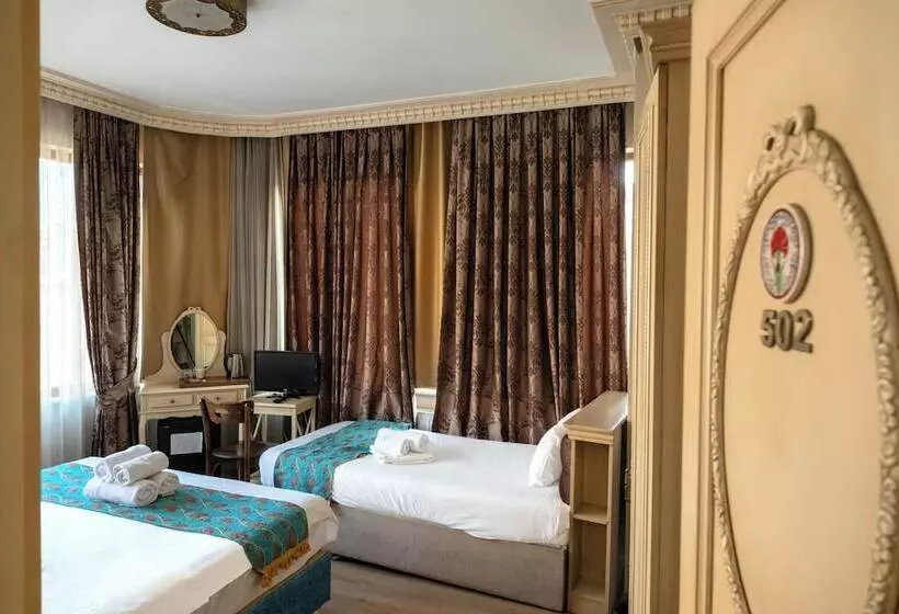 Fotos del hotel Tarihi Isparta Palas:  11