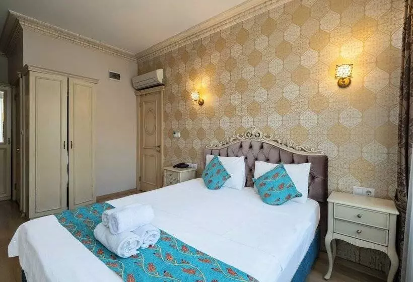 Fotos del hotel Tarihi Isparta Palas:  23