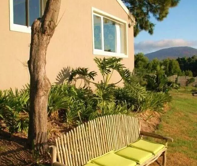 Fotos del hotel African Queen Guest House:  11