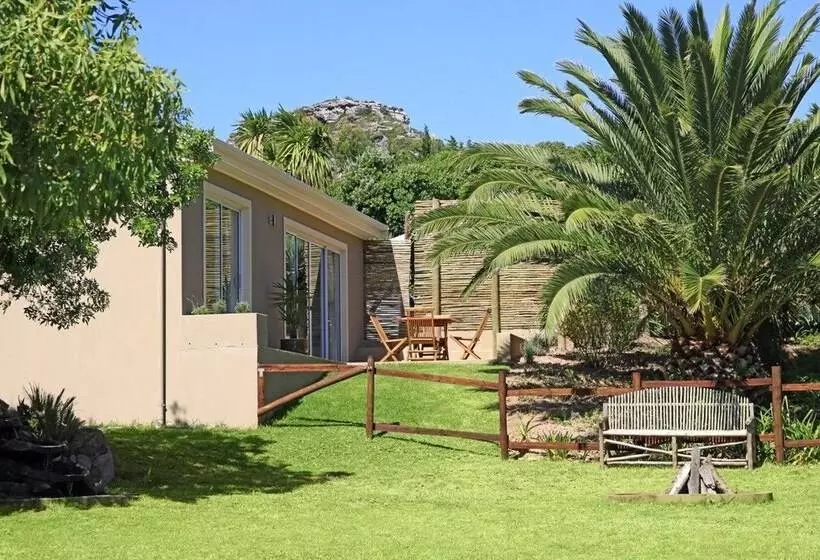 Fotos del hotel African Queen Guest House:  19