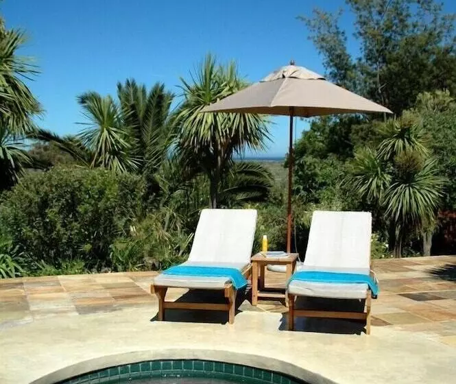 Fotos del hotel African Queen Guest House:  17