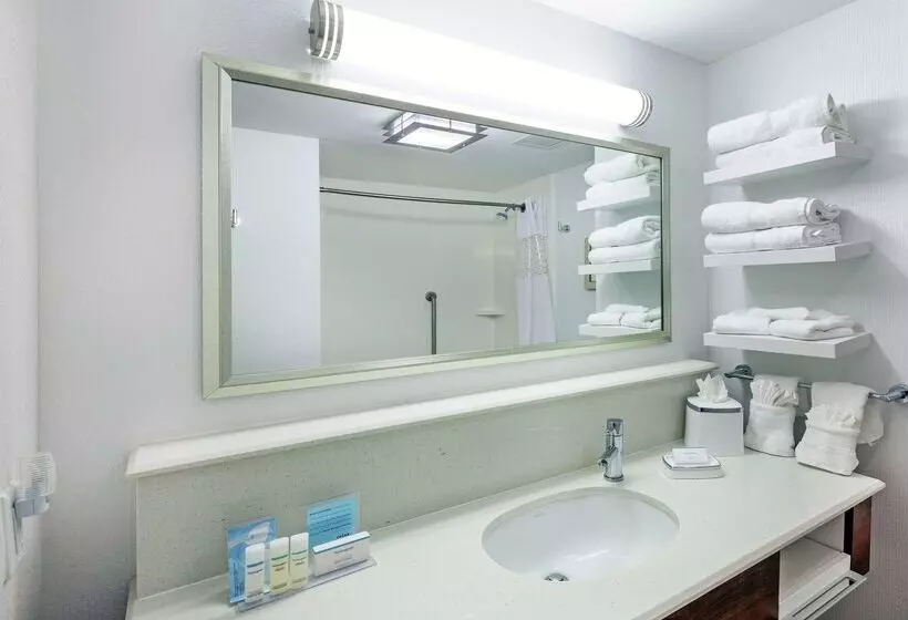 Fotos del hotel Hampton Inn & Suites Houston North Iah, Tx:  4