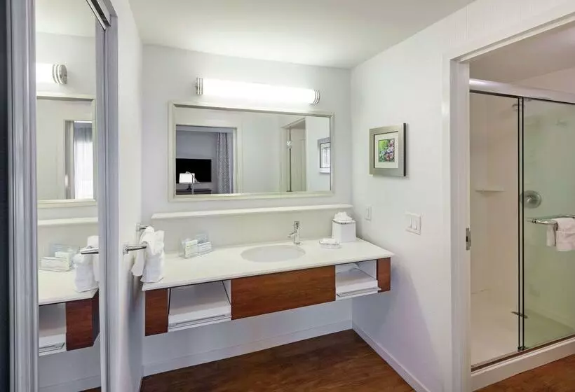 Fotos del hotel Hampton Inn & Suites Houston North Iah, Tx:  9