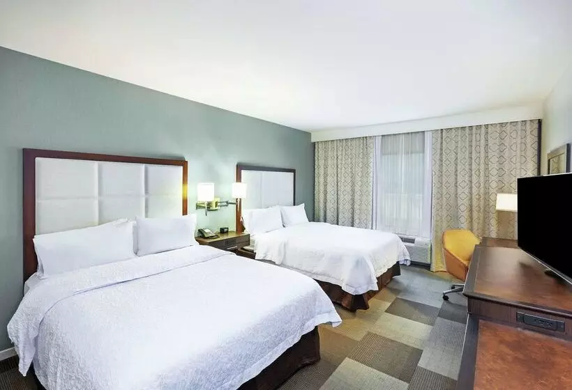 Fotos del hotel Hampton Inn & Suites Houston North Iah, Tx:  11