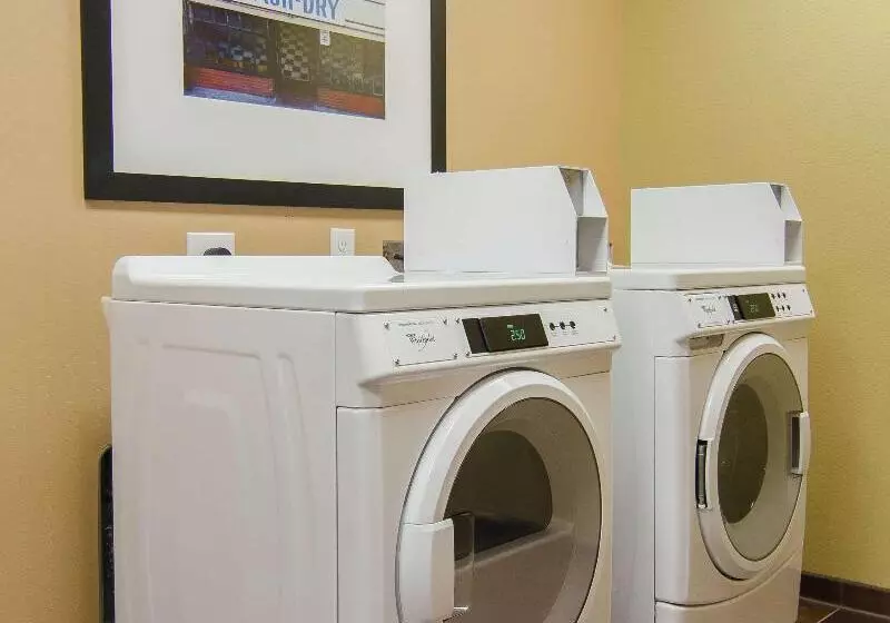 Fotos del hotel Hampton Inn & Suites Houston North Iah, Tx:  24