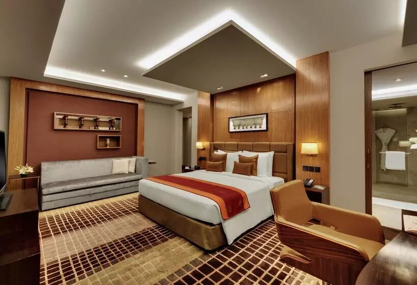 Fotos del hotel Hyatt Regency Ahmedabad:  12