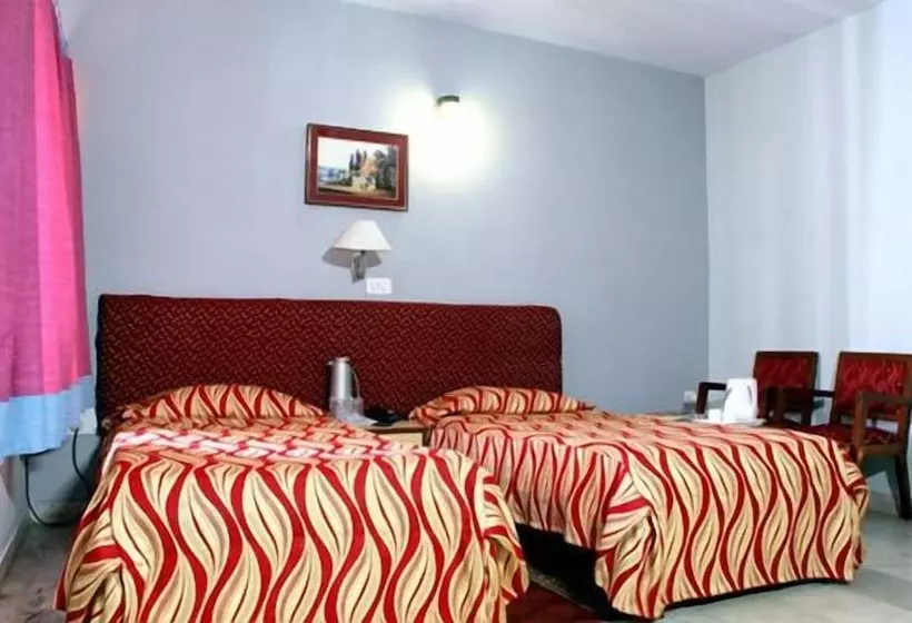 Fotos del hotel Pallavi International:  2