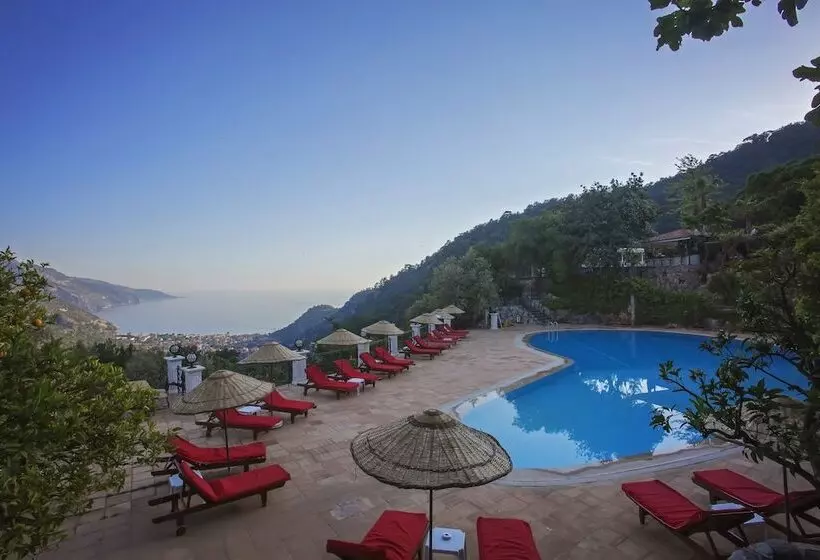 Fotos del hotel Paradise Garden:  3