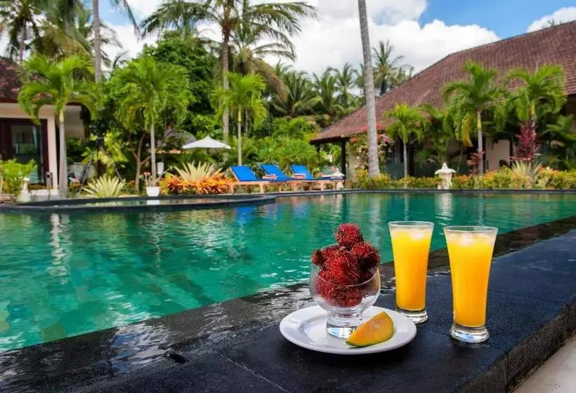 Fotos del hotel Rossa Garden Hotel Ex Villarossa:  14