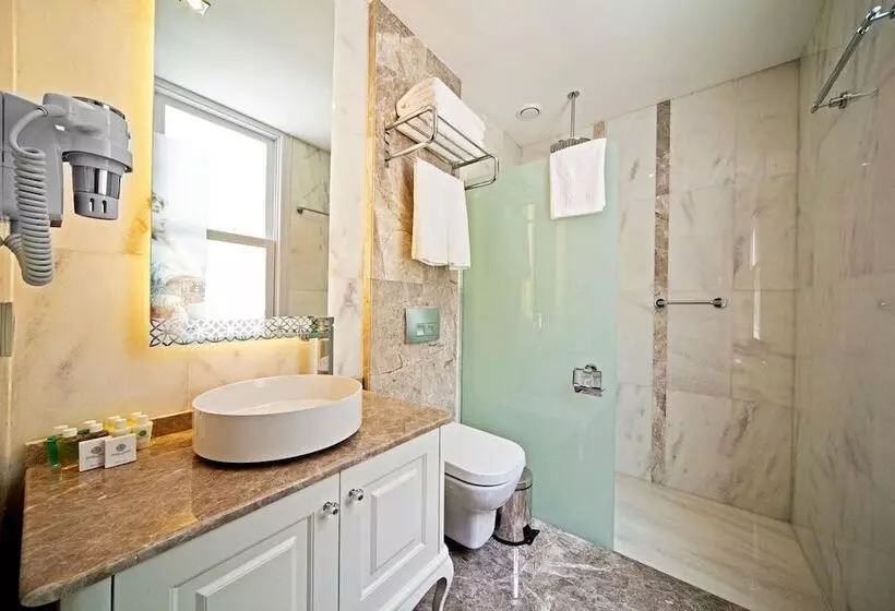 Fotos del hotel Azade Premier:  14