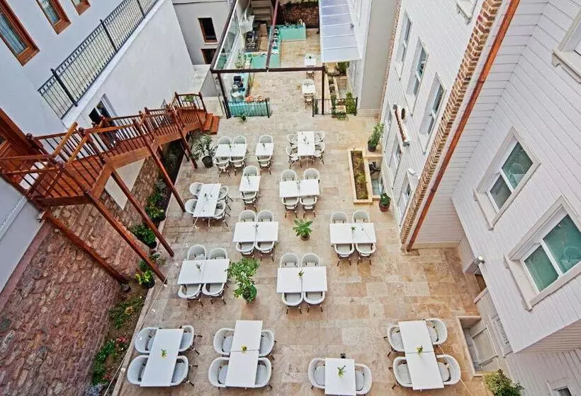 Fotos del hotel Azade Premier:  13