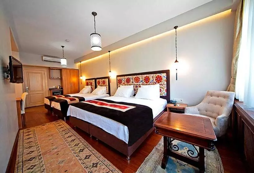 Fotos del hotel Azade Premier:  11