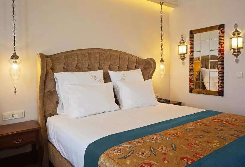 Fotos del hotel Azade Premier:  19