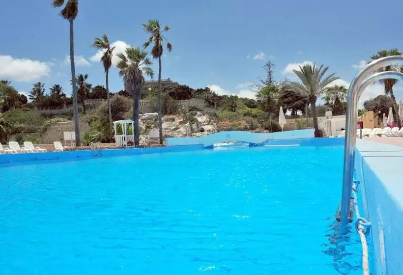 Fotos del hotel Beach Garden:  12