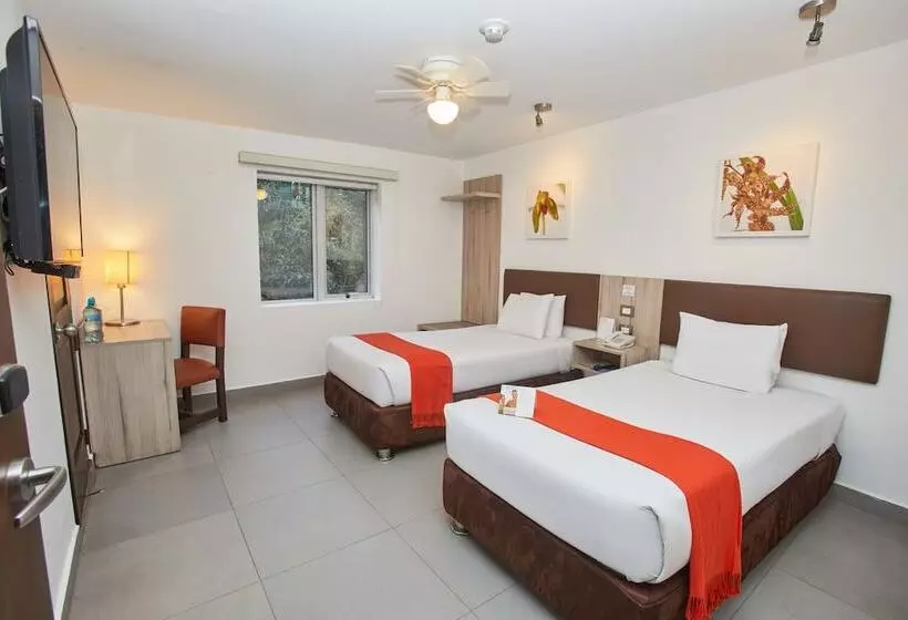 Fotos del hotel Casa Andina Standard Machu Picchu:  10