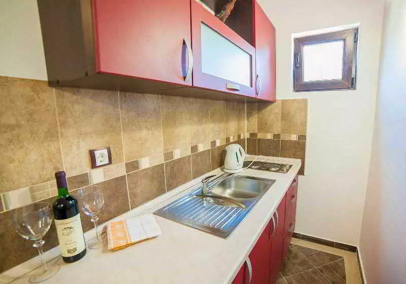 Fotos del hotel Vile Dimic:  3