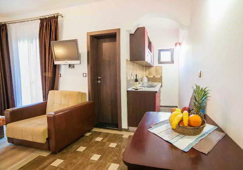 Fotos del hotel Vile Dimic:  11