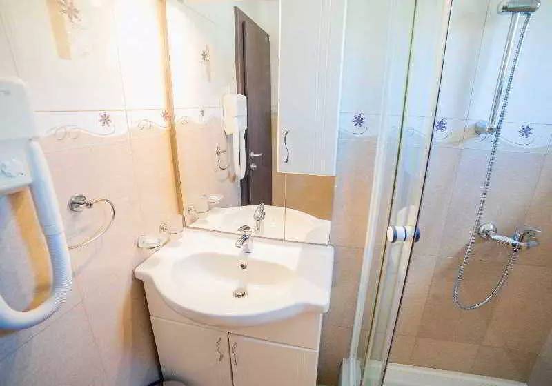 Fotos del hotel Vile Dimic:  4