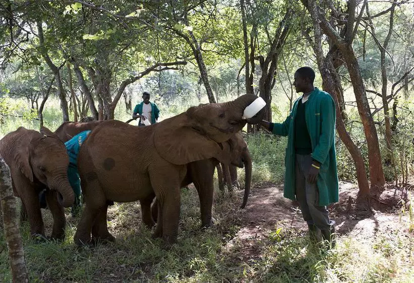 Fotos del hotel Lilayi Lodge:  13