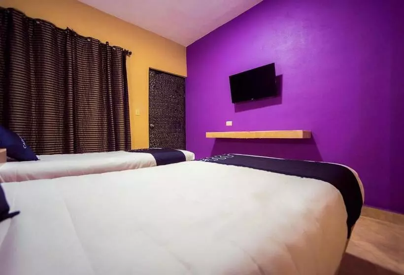 Fotos del hotel La Silla:  7