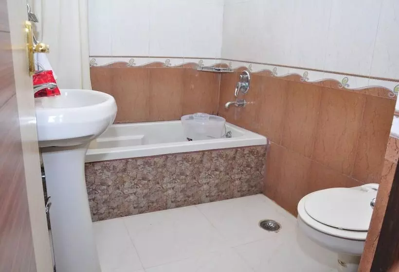 Fotos del hotel Oyo Rooms Regent Cinema Chowk:  6