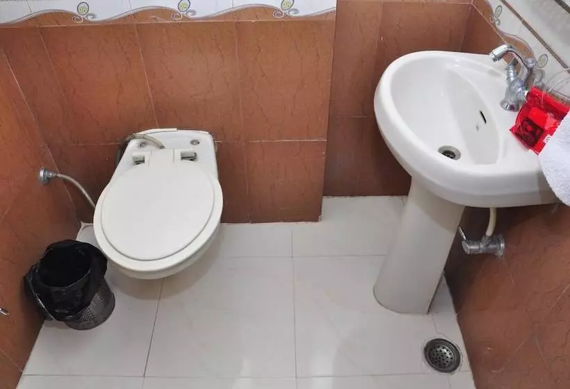 Fotos del hotel Oyo Rooms Regent Cinema Chowk:  8