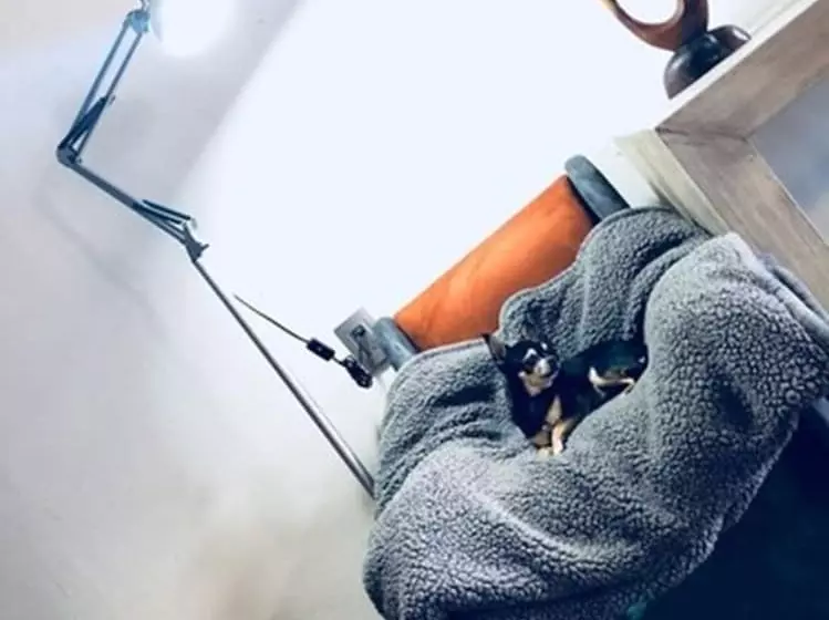 Fotos del hotel Helverica:  8