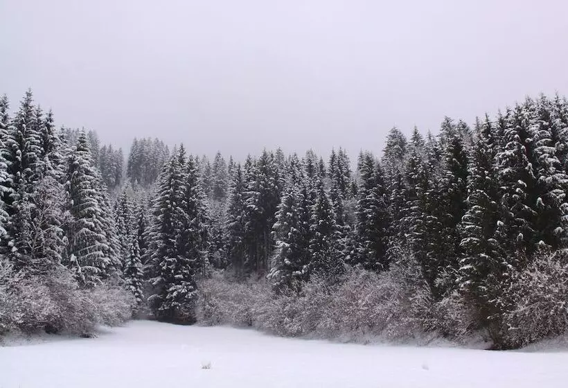 Fotos del hotel Sonnleitn:  19