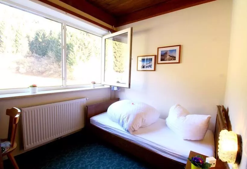 Fotos del hotel Sonnleitn:  20