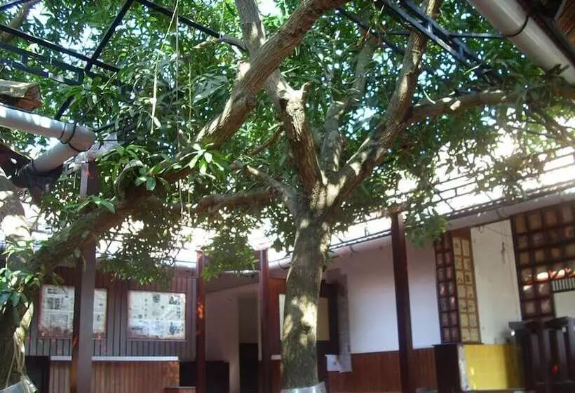 Fotos del hotel The Mango Tree Inn:  7