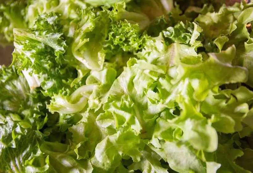 Fotos del hotel Avani Plus Riverside Bangkok  Sha Plus Certified:  18