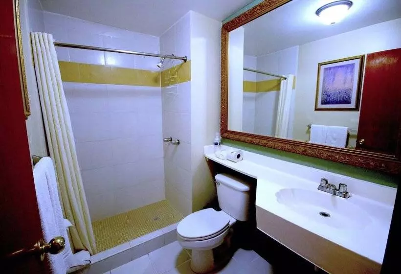 Fotos del hotel Consulado Inn:  15