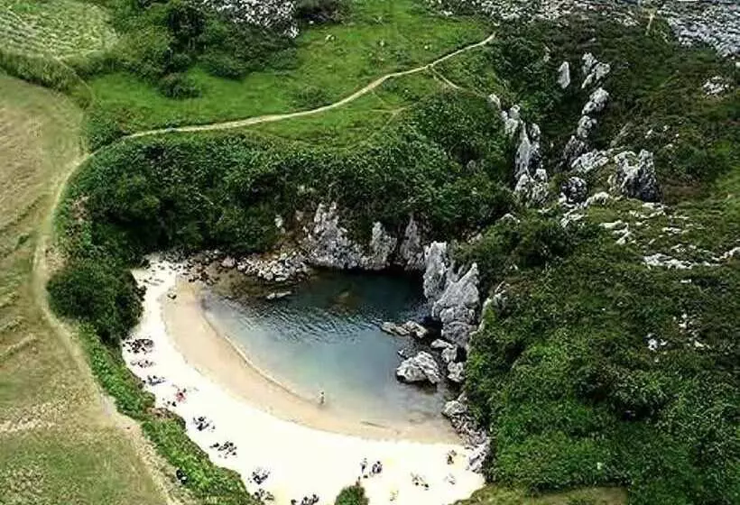 Fotos del hotel Gavitu:  11