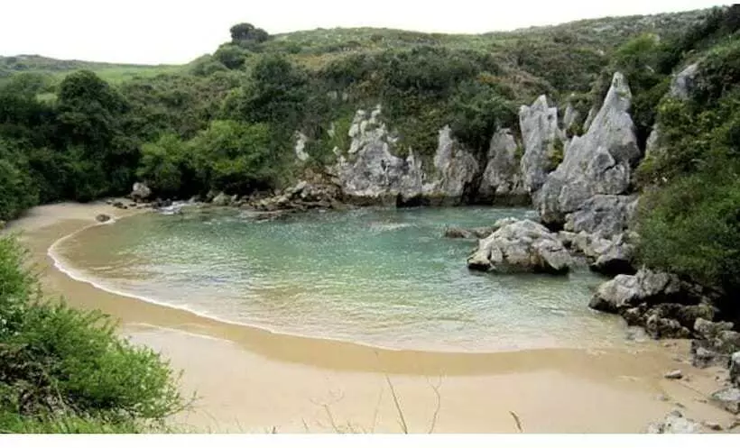 Fotos del hotel Gavitu:  8