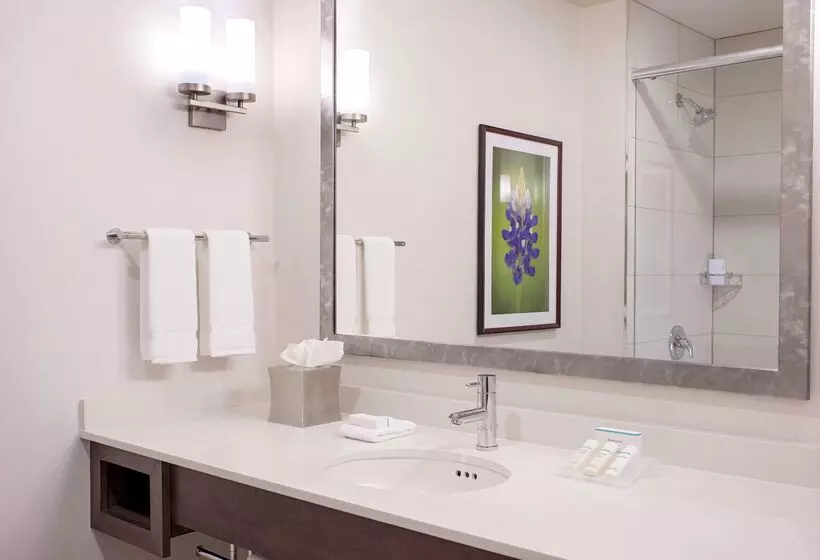 Fotos del hotel Hilton Garden Inn Downtown Dallas:  16