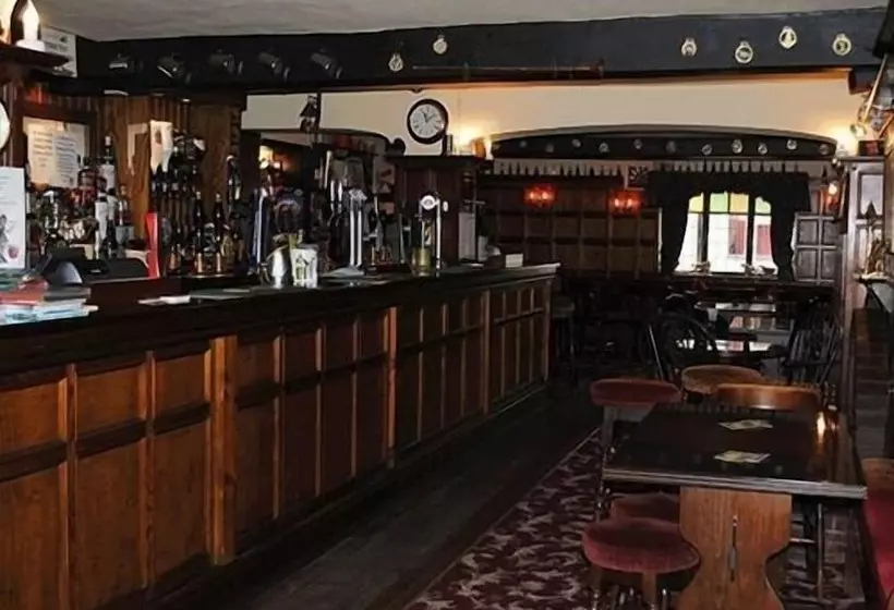 Fotos del hotel Ye Olde Red Lion:  3