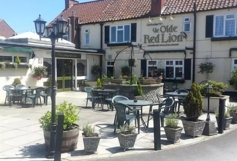 Fotos del hotel Ye Olde Red Lion:  5