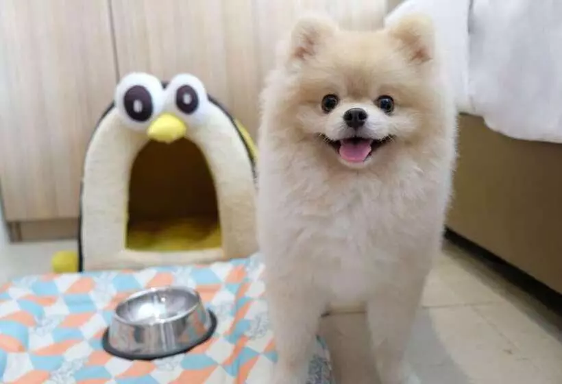 Fotos del hotel X2 Vibe Chiang Mai Decem:  5