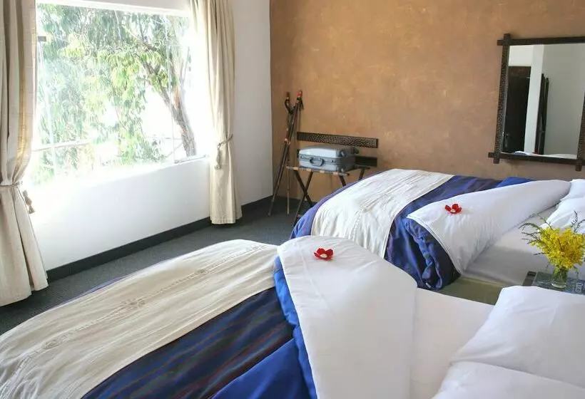 Fotos del hotel Hotel Isla Suasi:  8