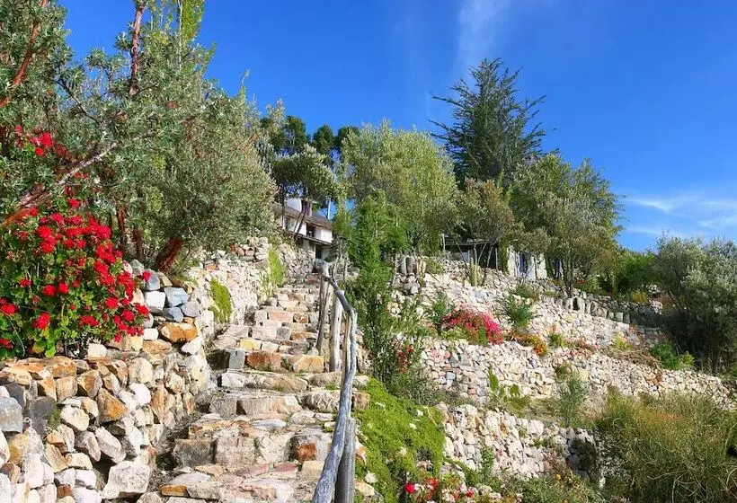 Fotos del hotel Hotel Isla Suasi:  6