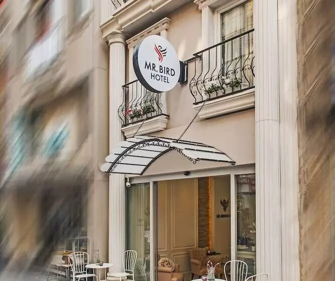 Fotos del hotel Mr. Bird:  15