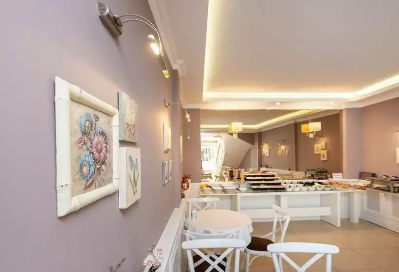 Fotos del hotel Mr. Bird:  12