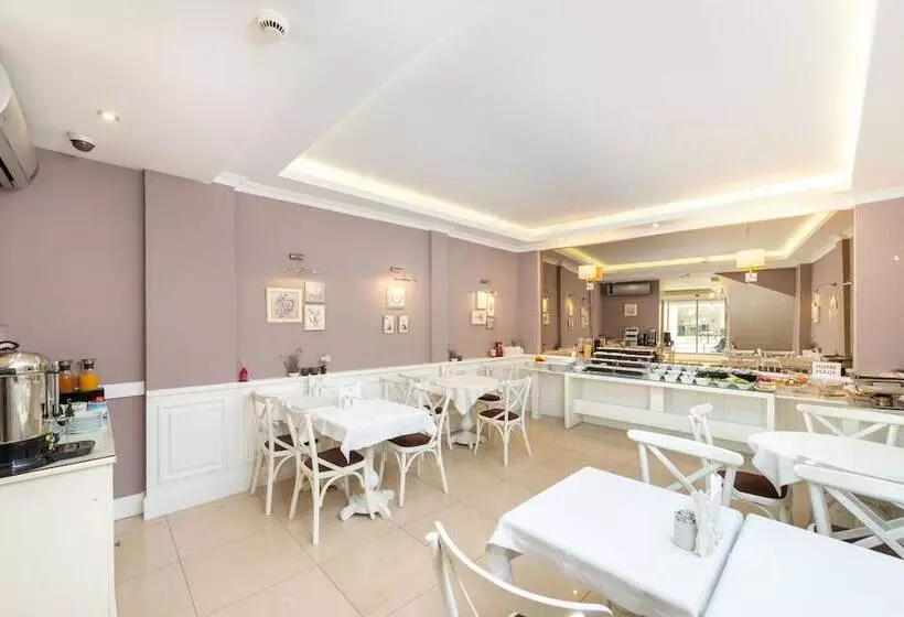 Fotos del hotel Mr. Bird:  17