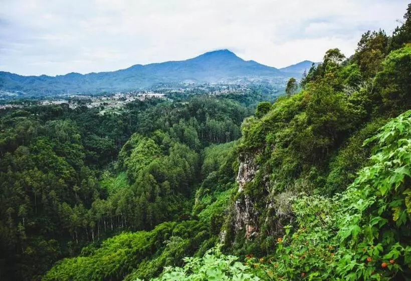 Fotos del hotel Travello:  8