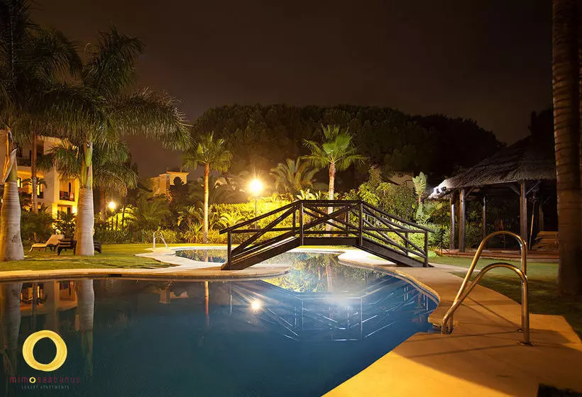 Fotos del hotel Mimosas Banus:  11