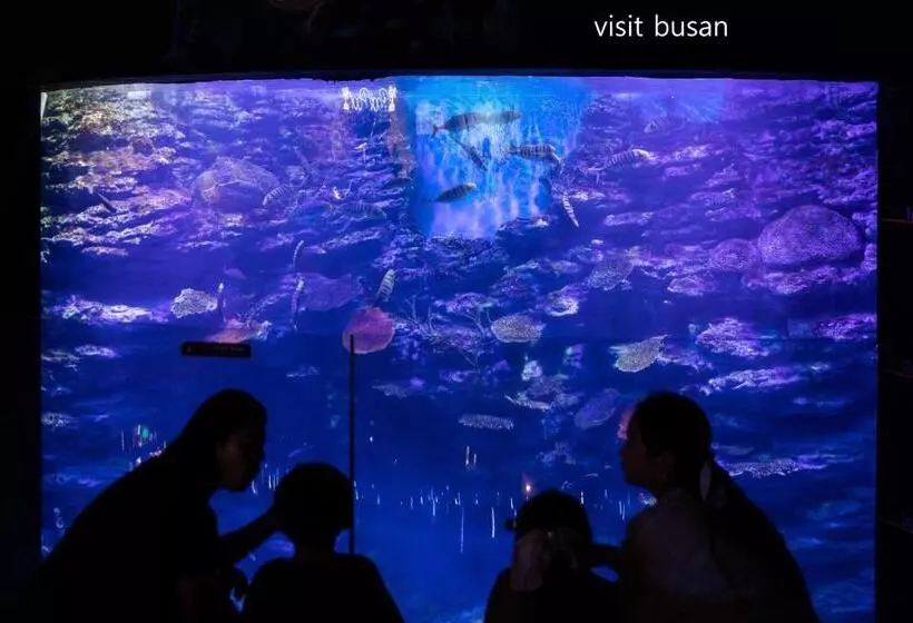 Fotos del hotel Best Louis Hamilton  Haeundae:  10